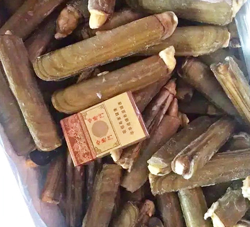 東港蟶子