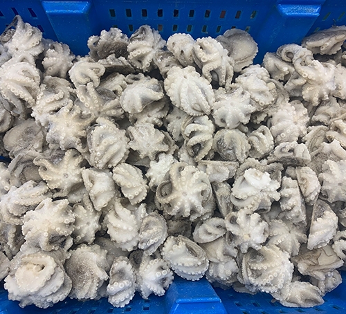 廣州八抓魚加工