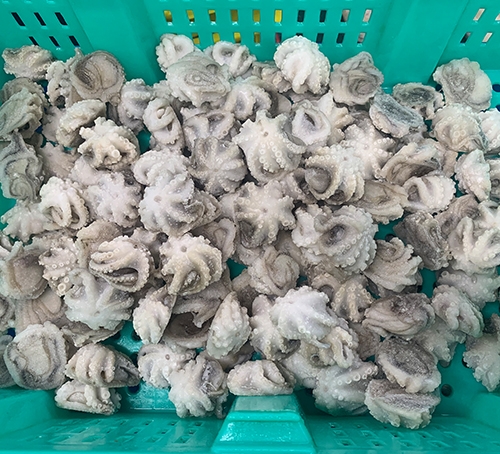 廣州凍煮八抓魚
